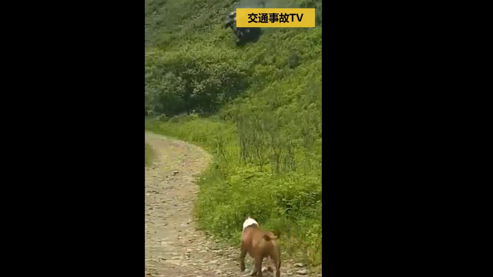 【交通事故】严重、惨烈交通事故合集——EP76